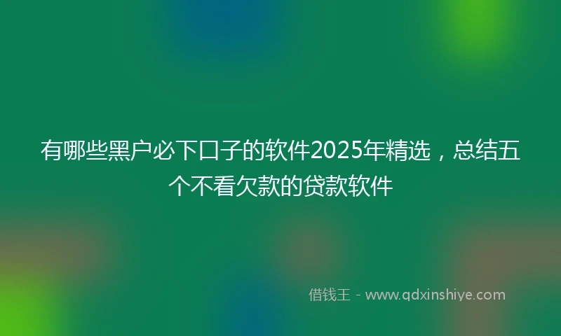 有哪些黑户必下口子的软件2025年精选，总结五个不看欠款的贷款软件