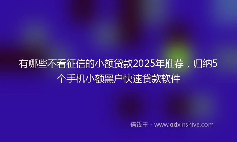 有哪些不看征信的小额贷款2025年推荐，归纳5个手机小额黑户快速贷款软件