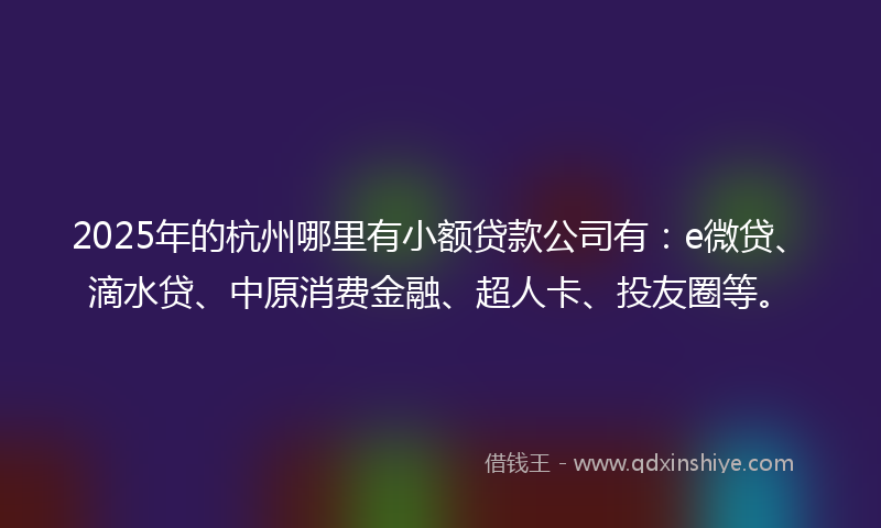 2025年的杭州哪里有小额贷款公司有：e微贷、滴水贷、中原消费金融、超人卡、投友圈等。