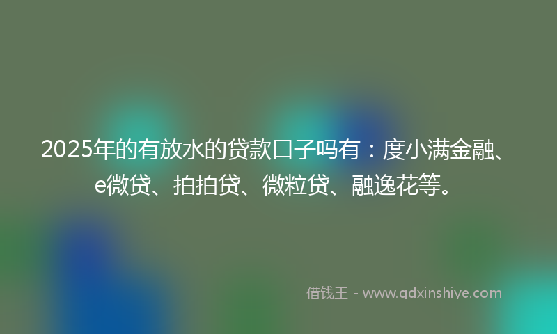 2025年的有放水的贷款口子吗有：度小满金融、e微贷、拍拍贷、微粒贷、融逸花等。