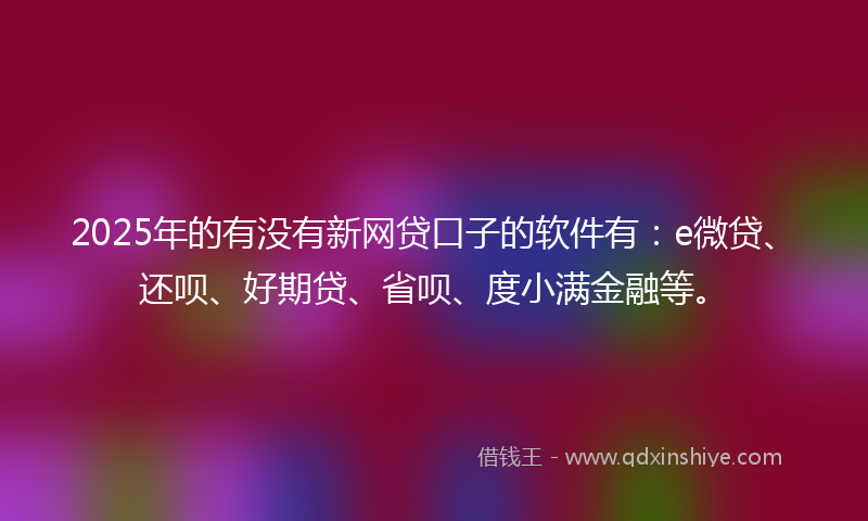2025年的有没有新网贷口子的软件有：e微贷、还呗、好期贷、省呗、度小满金融等。