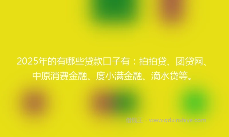 2025年的有哪些贷款口子有：拍拍贷、团贷网、中原消费金融、度小满金融、滴水贷等。