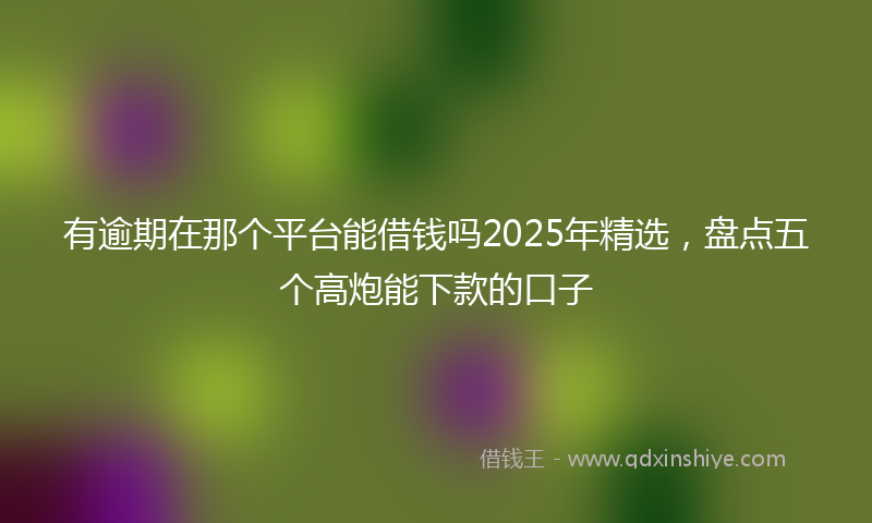 有逾期在那个平台能借钱吗2025年精选，盘点五个高炮能下款的口子