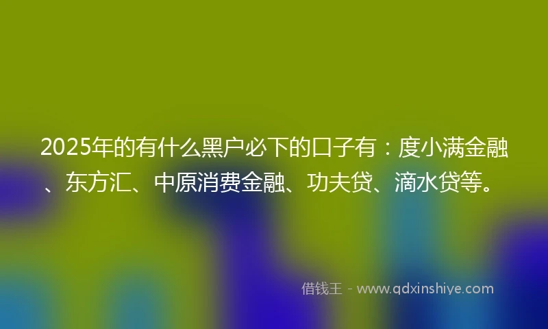 2025年的有什么黑户必下的口子有：度小满金融、东方汇、中原消费金融、功夫贷、滴水贷等。
