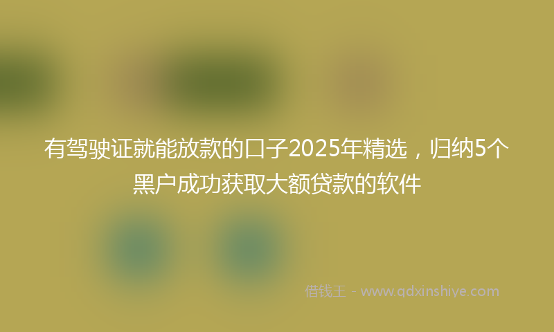 有驾驶证就能放款的口子2025年精选，归纳5个黑户成功获取大额贷款的软件