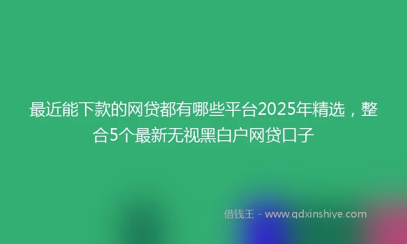 最近能下款的网贷都有哪些平台2025年精选，整合5个最新无视黑白户网贷口子