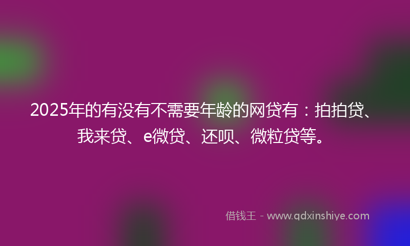 2025年的有没有不需要年龄的网贷有：拍拍贷、我来贷、e微贷、还呗、微粒贷等。