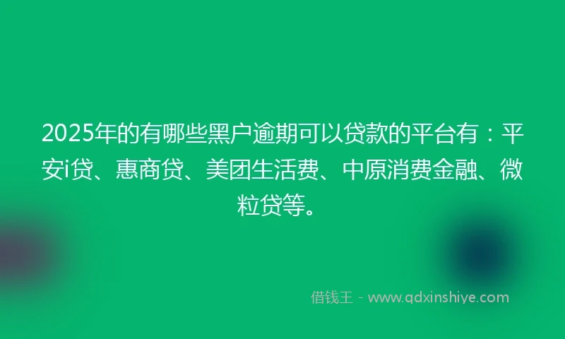 2025年的有哪些黑户逾期可以贷款的平台有：平安i贷、惠商贷、美团生活费、中原消费金融、微粒贷等。