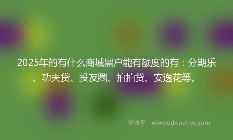 2025年的有什么商城黑户能有额度的有：分期乐、功夫贷、投友圈、拍拍贷、安逸花等。