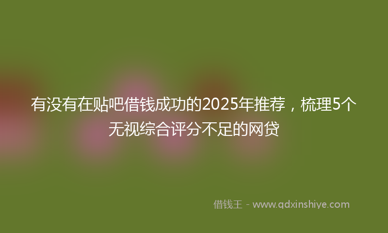 有没有在贴吧借钱成功的2025年推荐，梳理5个无视综合评分不足的网贷