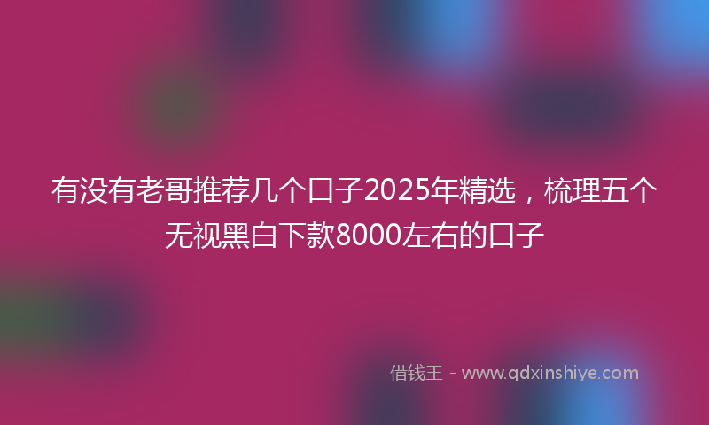 有没有老哥推荐几个口子2025年精选，梳理五个无视黑白下款8000左右的口子