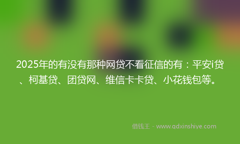 2025年的有没有那种网贷不看征信的有：平安i贷、柯基贷、团贷网、维信卡卡贷、小花钱包等。