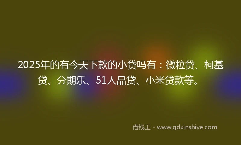 2025年的有今天下款的小贷吗有：微粒贷、柯基贷、分期乐、51人品贷、小米贷款等。
