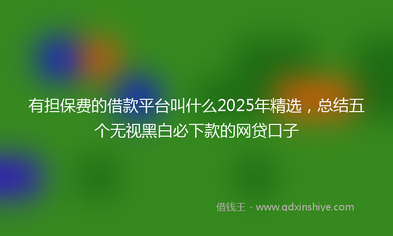 有担保费的借款平台叫什么2025年精选，总结五个无视黑白必下款的网贷口子