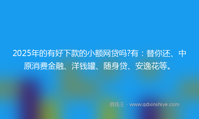 2025年的有好下款的小额网贷吗?有：替你还、中原消费金融、洋钱罐、随身贷、安逸花等。