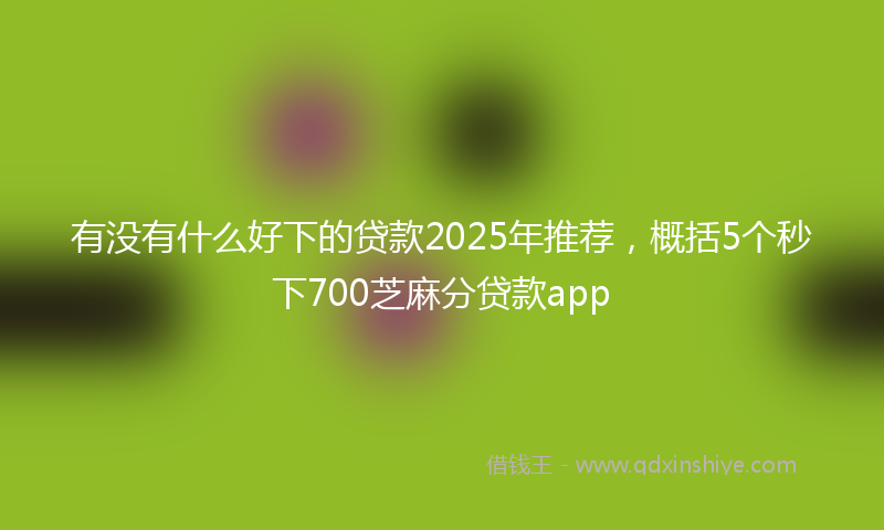 有没有什么好下的贷款2025年推荐，概括5个秒下700芝麻分贷款app
