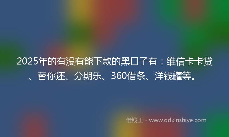 2025年的有没有能下款的黑口子有：维信卡卡贷、替你还、分期乐、360借条、洋钱罐等。