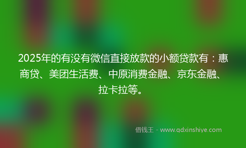 2025年的有没有微信直接放款的小额贷款有：惠商贷、美团生活费、中原消费金融、京东金融、拉卡拉等。