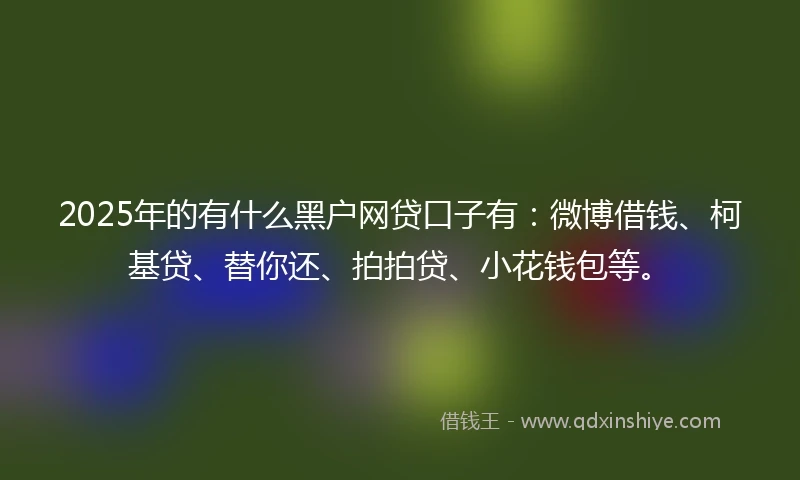 2025年的有什么黑户网贷口子有：微博借钱、柯基贷、替你还、拍拍贷、小花钱包等。