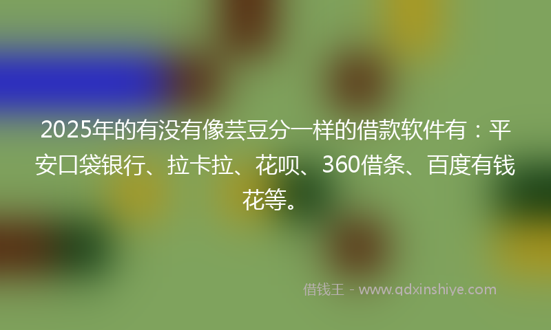 2025年的有没有像芸豆分一样的借款软件有：平安口袋银行、拉卡拉、花呗、360借条、百度有钱花等。
