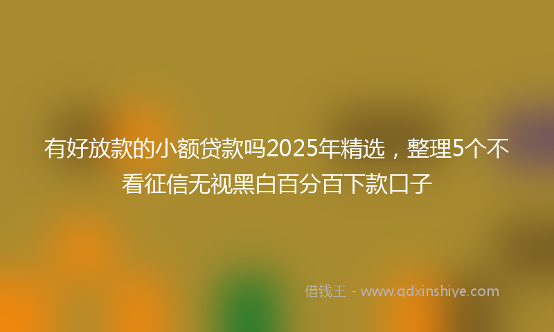 有好放款的小额贷款吗2025年精选，整理5个不看征信无视黑白百分百下款口子