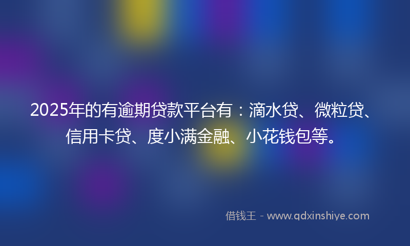 2025年的有逾期贷款平台有：滴水贷、微粒贷、信用卡贷、度小满金融、小花钱包等。