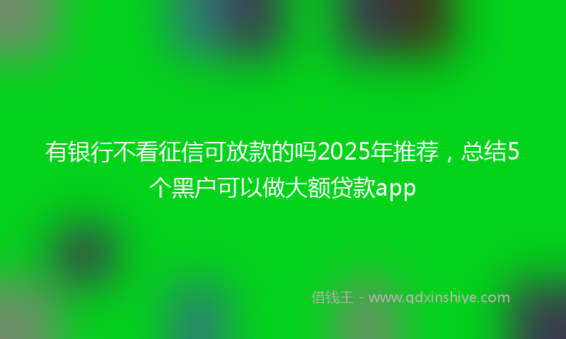 有银行不看征信可放款的吗2025年推荐，总结5个黑户可以做大额贷款app