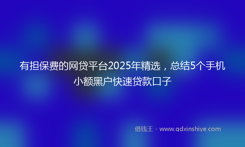 有担保费的网贷平台2025年精选，总结5个手机小额黑户快速贷款口子