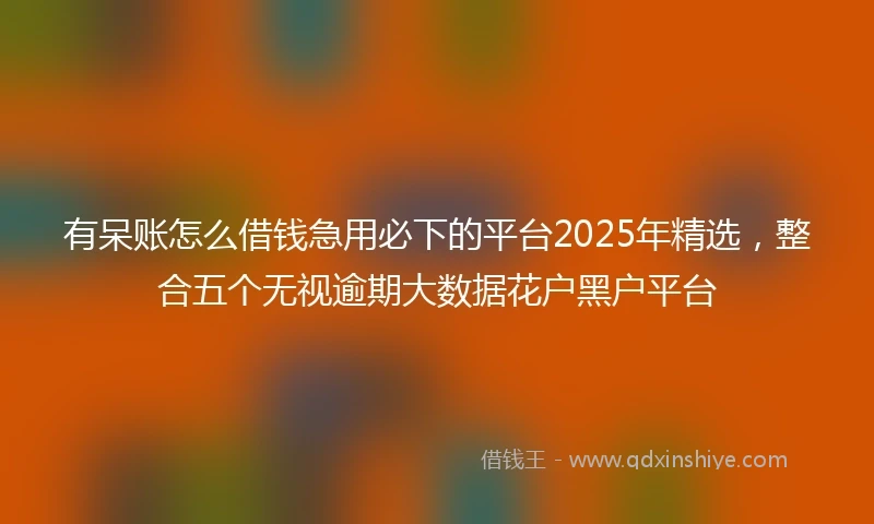 有呆账怎么借钱急用必下的平台2025年精选，整合五个无视逾期大数据花户黑户平台
