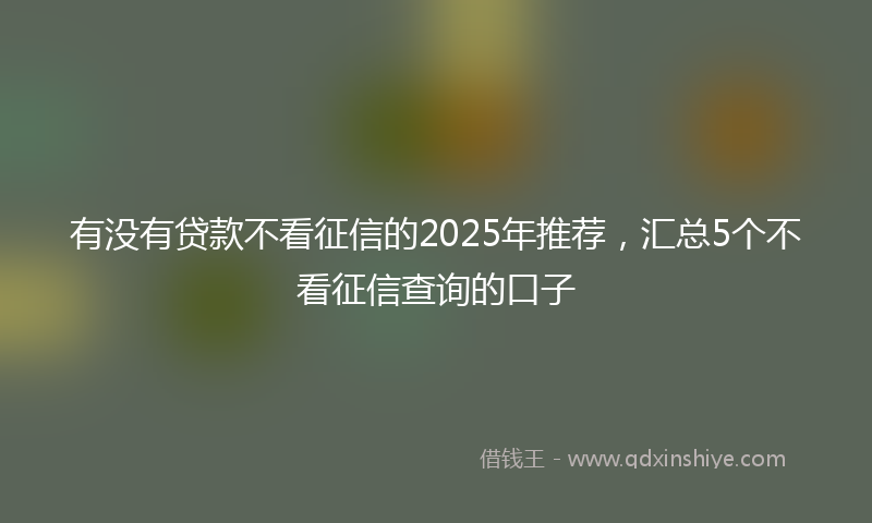 有没有贷款不看征信的2025年推荐，汇总5个不看征信查询的口子