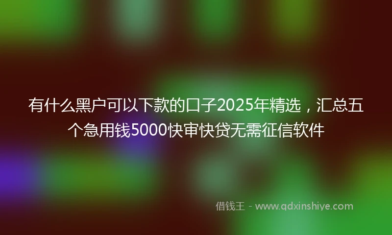 有什么黑户可以下款的口子2025年精选，汇总五个急用钱5000快审快贷无需征信软件