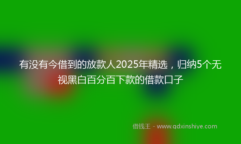 有没有今借到的放款人2025年精选，归纳5个无视黑白百分百下款的借款口子