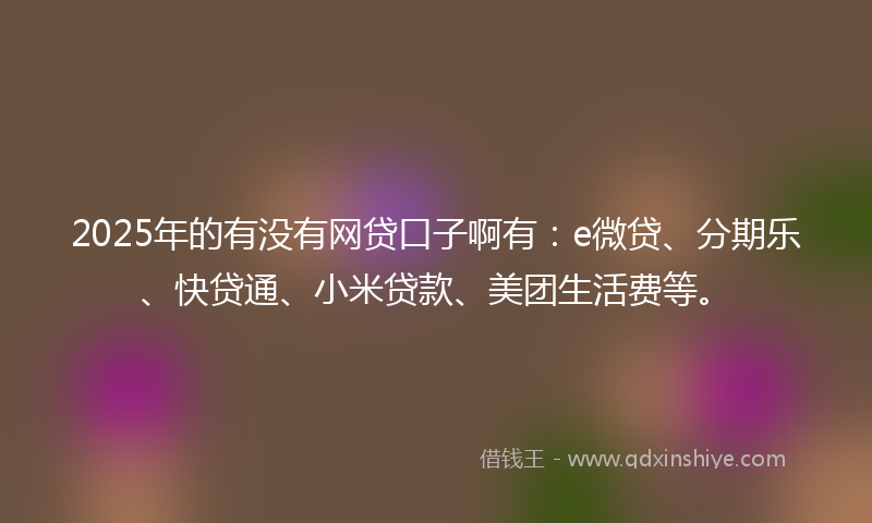2025年的有没有网贷口子啊有：e微贷、分期乐、快贷通、小米贷款、美团生活费等。