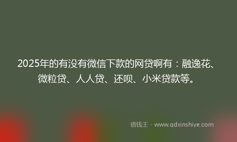2025年的有没有微信下款的网贷啊有：融逸花、微粒贷、人人贷、还呗、小米贷款等。