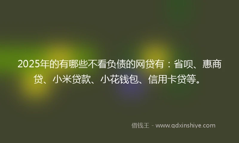 2025年的有哪些不看负债的网贷有：省呗、惠商贷、小米贷款、小花钱包、信用卡贷等。