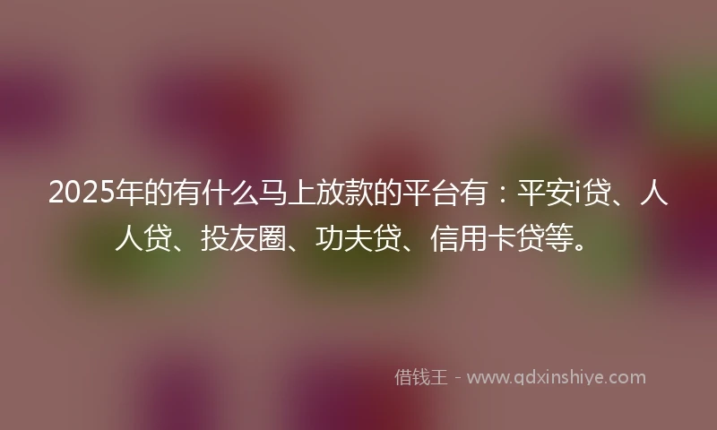 2025年的有什么马上放款的平台有：平安i贷、人人贷、投友圈、功夫贷、信用卡贷等。