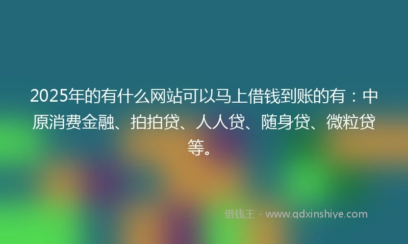 2025年的有什么网站可以马上借钱到账的有：中原消费金融、拍拍贷、人人贷、随身贷、微粒贷等。