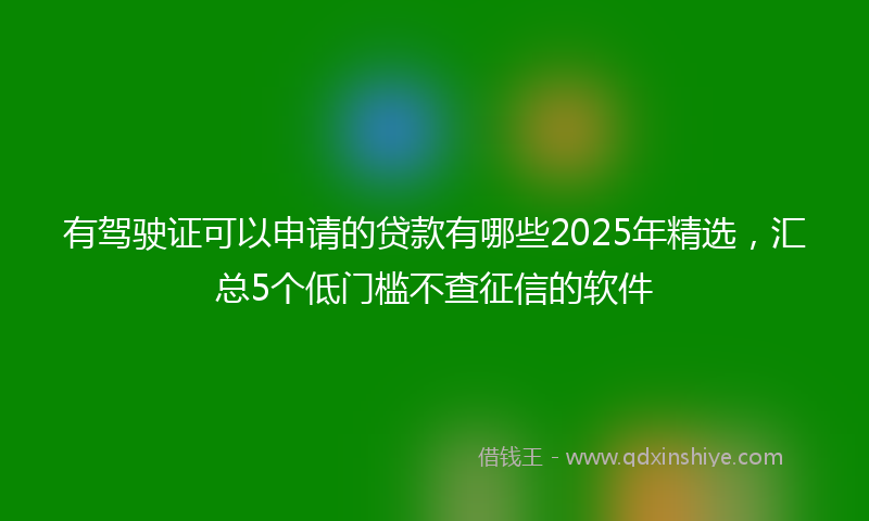 有驾驶证可以申请的贷款有哪些2025年精选，汇总5个低门槛不查征信的软件