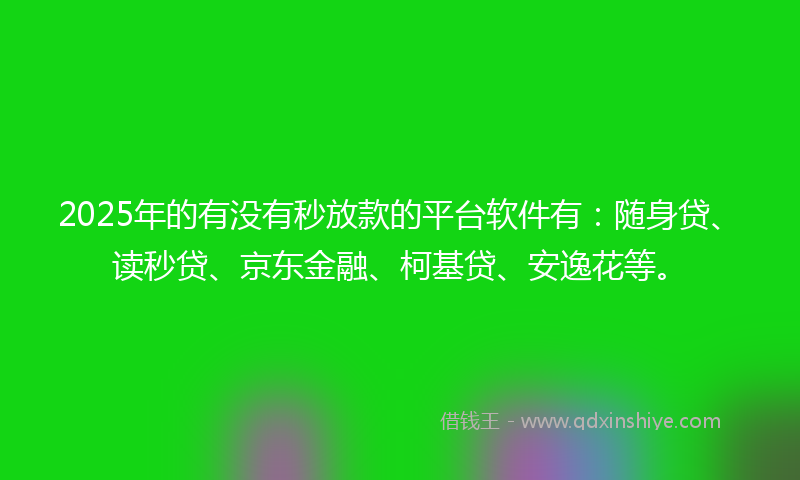 2025年的有没有秒放款的平台软件有：随身贷、读秒贷、京东金融、柯基贷、安逸花等。