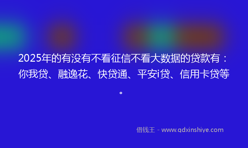 2025年的有没有不看征信不看大数据的贷款有：你我贷、融逸花、快贷通、平安i贷、信用卡贷等。