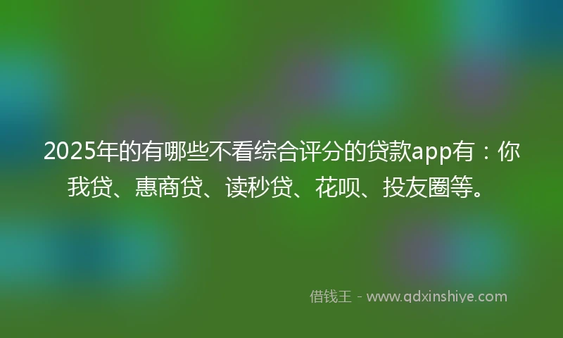 2025年的有哪些不看综合评分的贷款app有：你我贷、惠商贷、读秒贷、花呗、投友圈等。