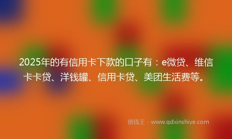 2025年的有信用卡下款的口子有：e微贷、维信卡卡贷、洋钱罐、信用卡贷、美团生活费等。