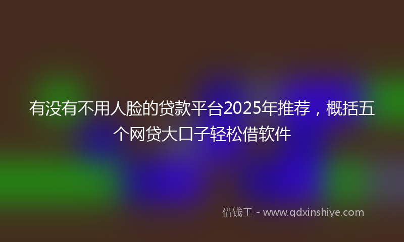 有没有不用人脸的贷款平台2025年推荐，概括五个网贷大口子轻松借软件