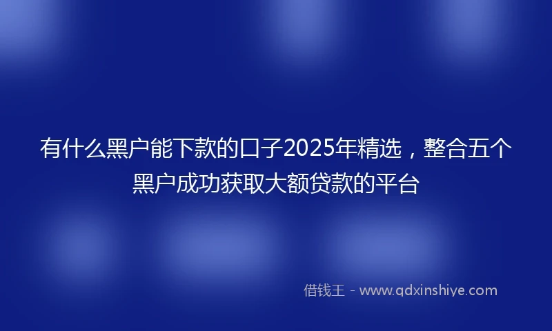 有什么黑户能下款的口子2025年精选，整合五个黑户成功获取大额贷款的平台