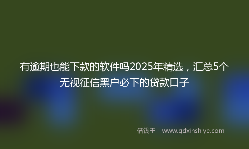 有逾期也能下款的软件吗2025年精选，汇总5个无视征信黑户必下的贷款口子