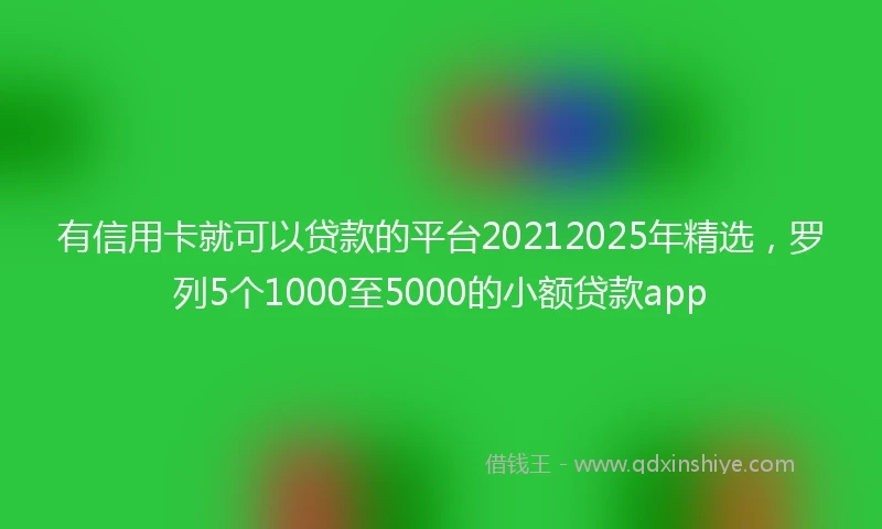 有信用卡就可以贷款的平台20212025年精选，罗列5个1000至5000的小额贷款app