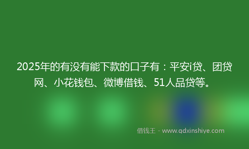 2025年的有没有能下款的口子有：平安i贷、团贷网、小花钱包、微博借钱、51人品贷等。
