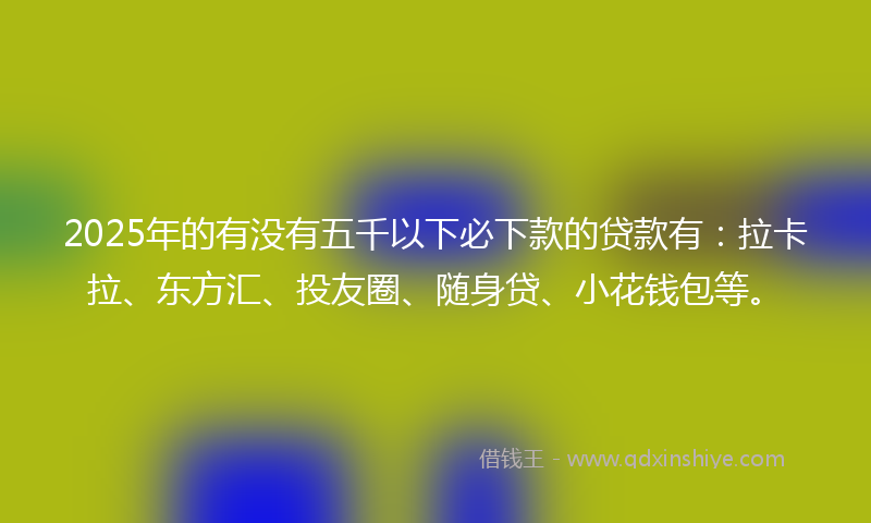 2025年的有没有五千以下必下款的贷款有：拉卡拉、东方汇、投友圈、随身贷、小花钱包等。