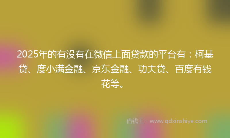 2025年的有没有在微信上面贷款的平台有：柯基贷、度小满金融、京东金融、功夫贷、百度有钱花等。