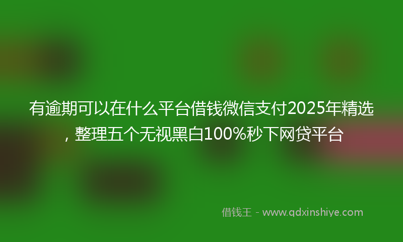 有逾期可以在什么平台借钱微信支付2025年精选，整理五个无视黑白100%秒下网贷平台